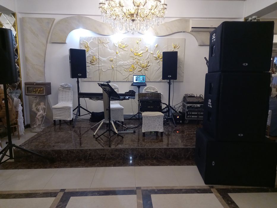 Coloana Dynacord XA 2 Pro( FX20, FX 12)