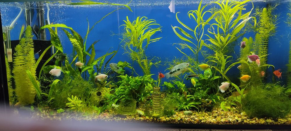 Продам Аквариум на 200литров