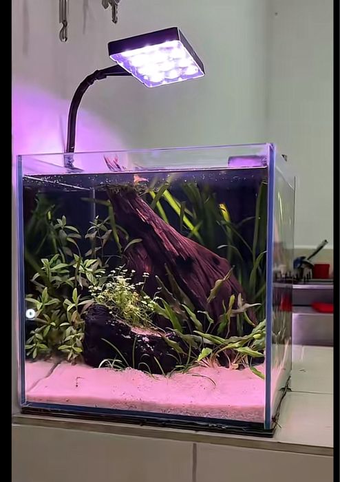 Сборка аквариумов