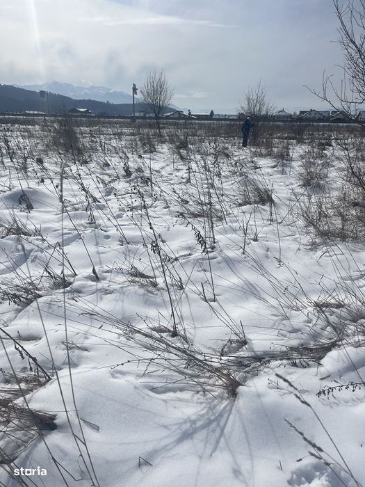 Teren Ideal Pentru Casa  Visurilor  Tale