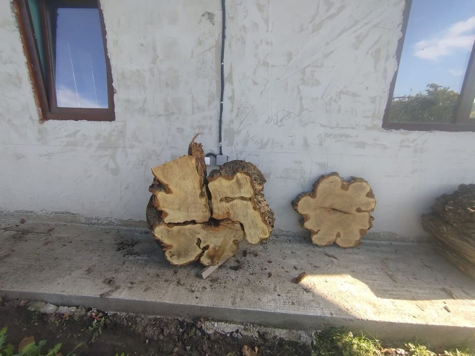 Rondele, felii de lemn din salcâm