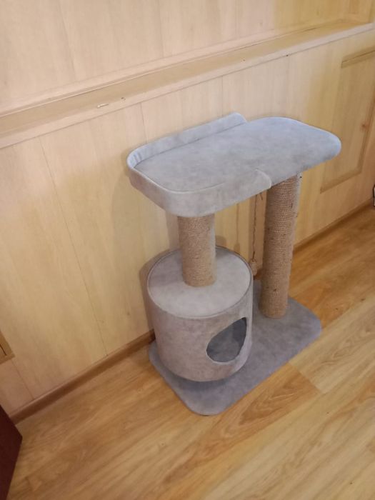 Когти точки для котиков