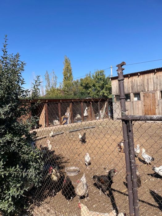 Продам участок 12 сот