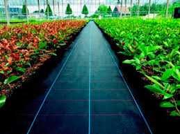 Agrotextil negru 100 gr/mp pt mulcire si alte itrebuintari 3 lei/mp