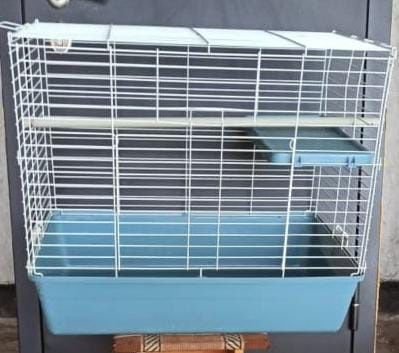 Клетка для кроликов