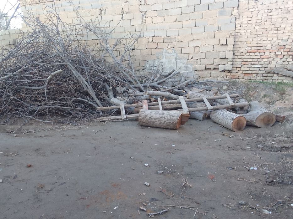 Utin sotiladi yongok darax kata