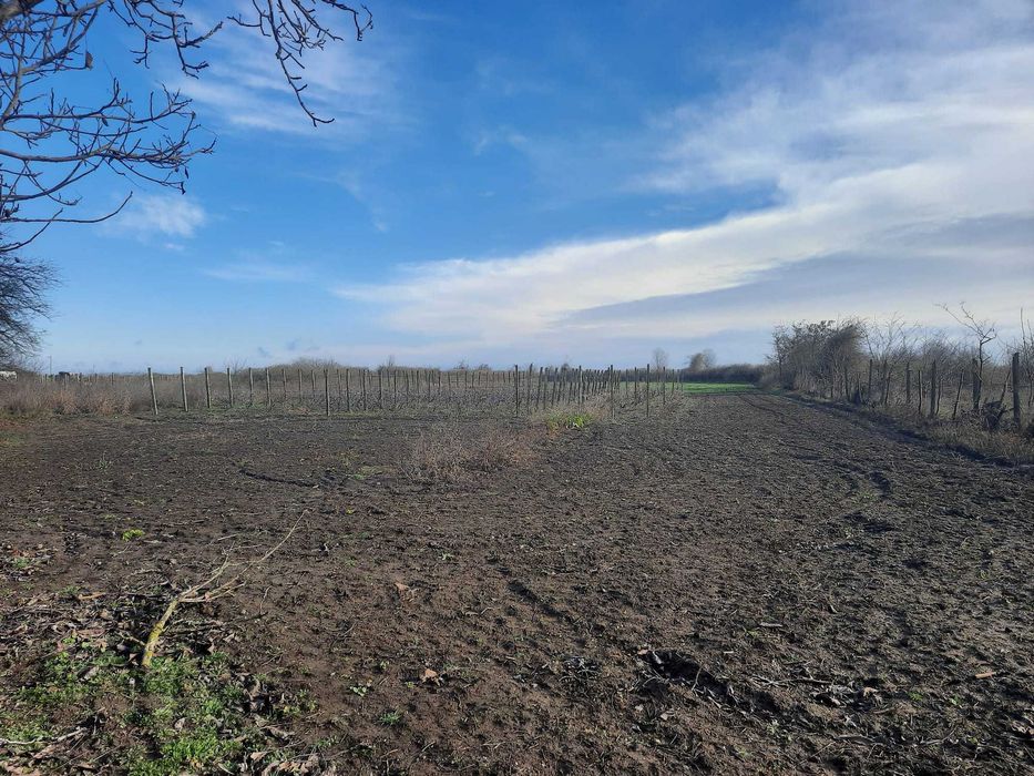Viziru / Braila - Casa batraneasca + Teren mare