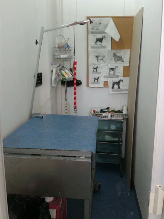 Masa metalica cosmetica