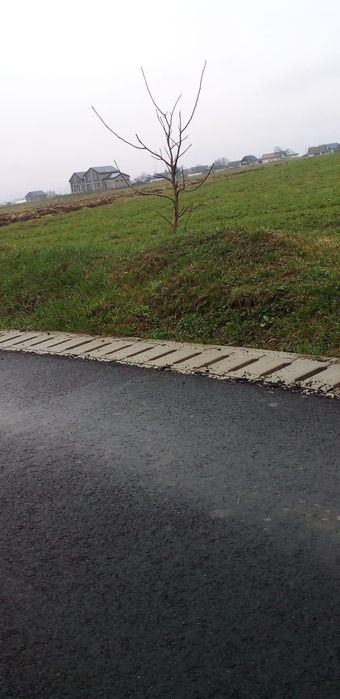 Teren intravilan de vanzare 1500 mp front 29in oraș salcea județ Suceava strada paieni Nr 30 A