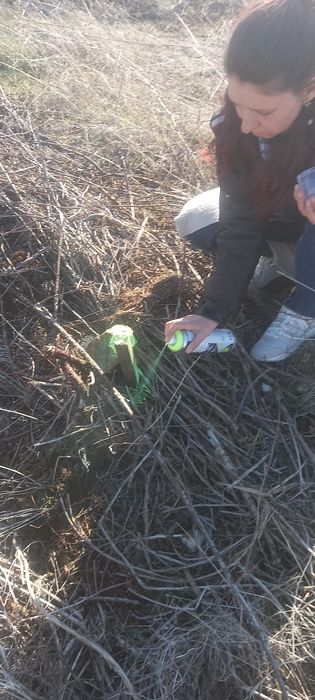 Огради и граници. Измерване. Колчета. Узаконяване. Скици.