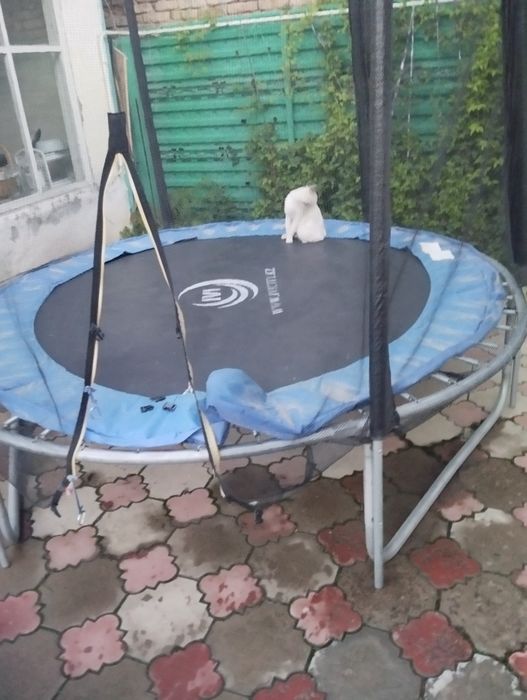 Продам срочно батут