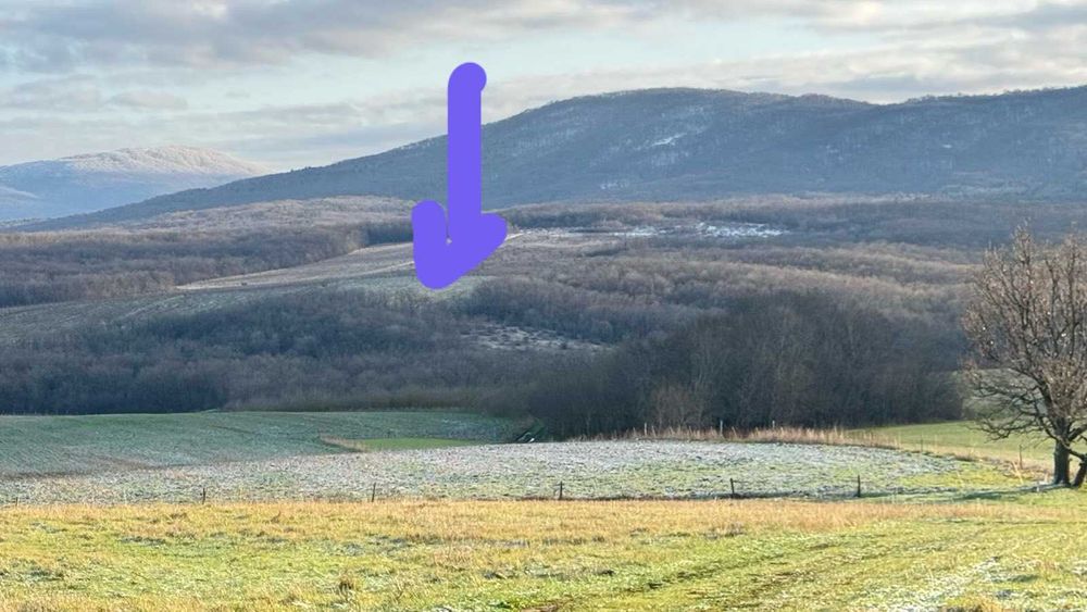 93 дка лозе 4-та кат. в община Царево, обл. Бургас