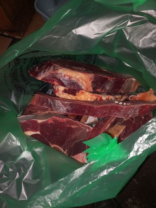 Продам мясо конины молодняк