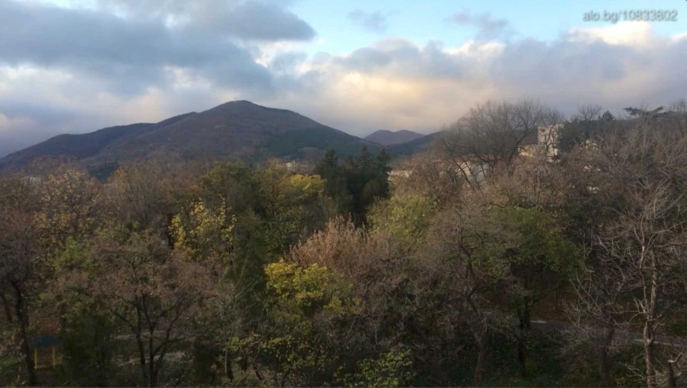 Многостаен, тухла,, 116 мв. м,  в кв. Ст. Заимов север