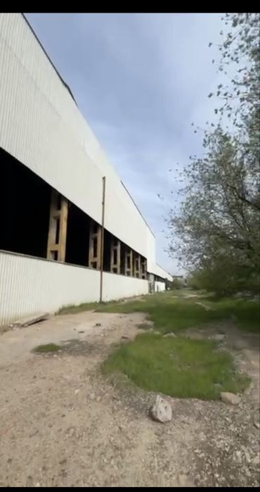 15 GEKTAR ANGAR ZAVOD SOTILADI SROCHNA suv svet gaz kanalizatsiya bor