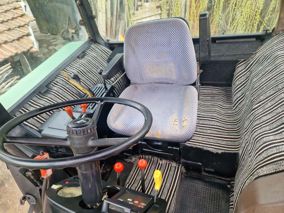 Vaci baltata românească