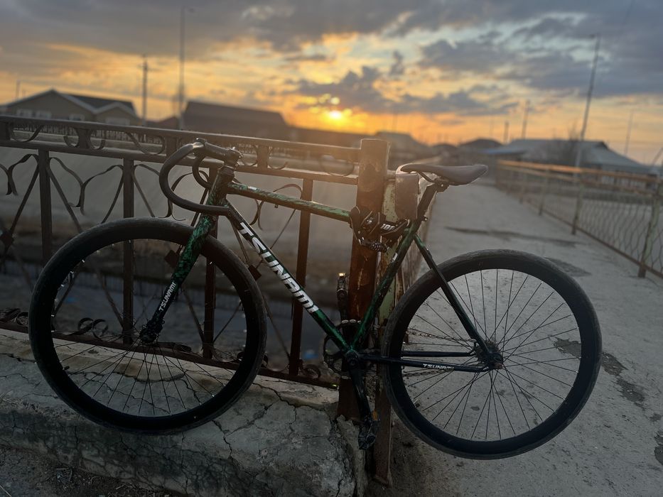 Фикс, тсунами снм100