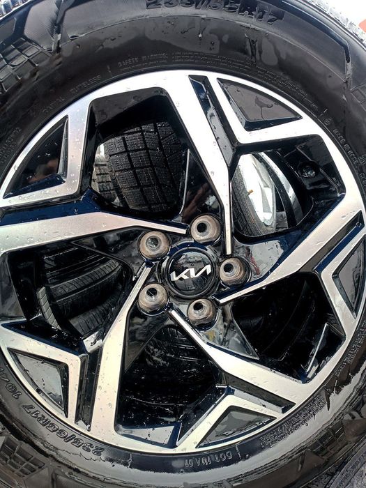 17 Киа спротеж аргинал диска балон