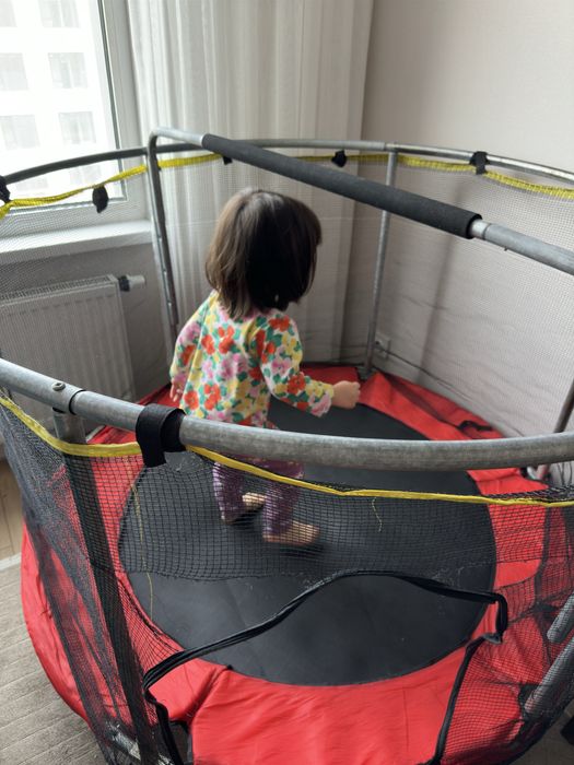 Батут (до 100кг)