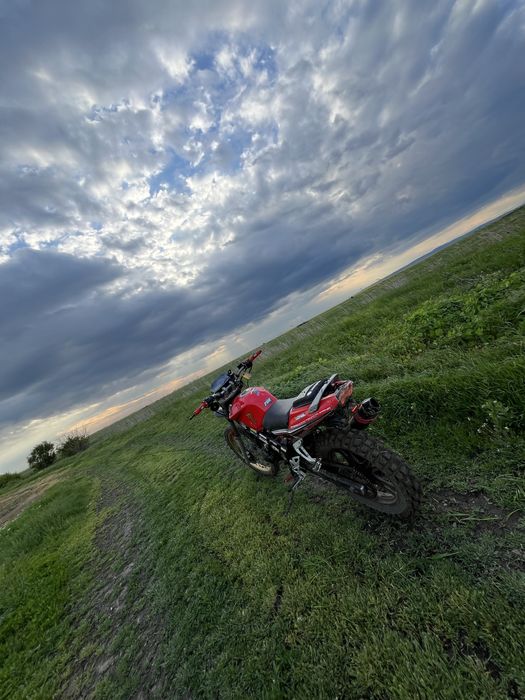 Cross de 250 cc.