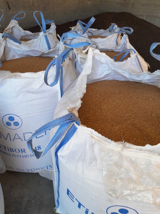 orzoaica casanova grau aveniu foarea soarelui