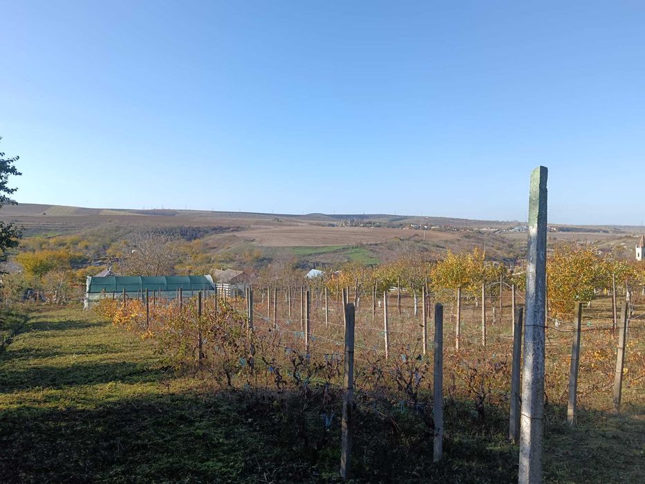 Teren intravilan sat Malcoci, com. Nufaru, jud. Tulcea