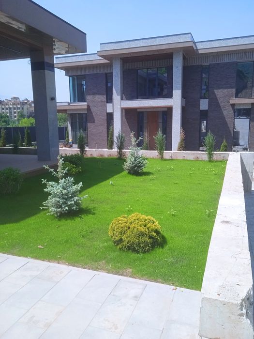 Посевной рулонный газон