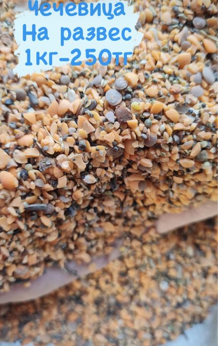 Корма для животных