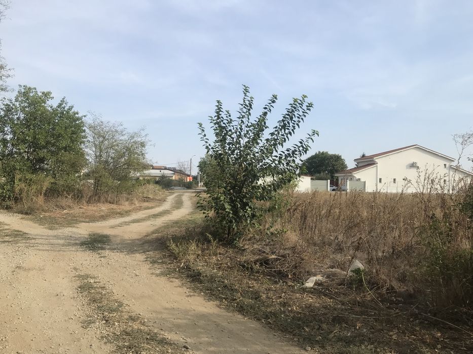 Teren intravilan Magurele Ilfov