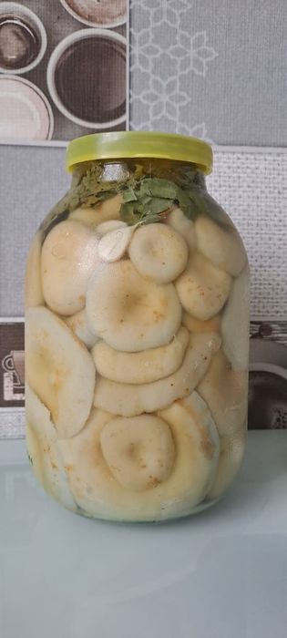 Соленые грибы грузди