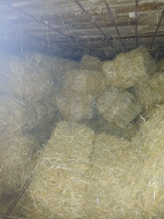 Бидай сабан прес