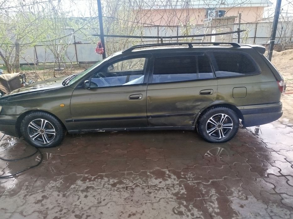 Таета карина е уневерсал