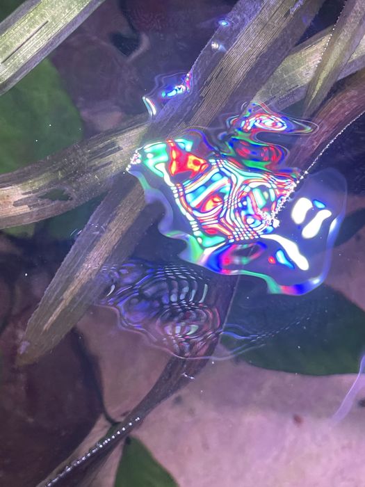 Светильник аквариумный