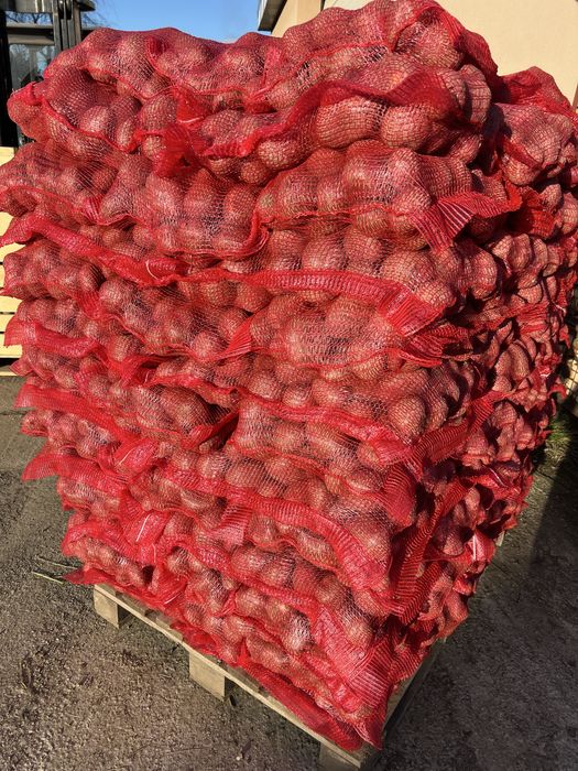 Cartof rosu de consum