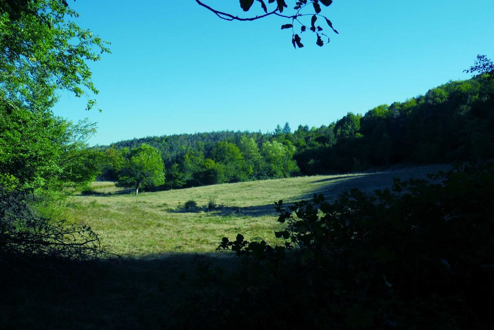 Продава се Парцел в с. Стеврек, Област Търговище - 50000 кв.м за 5 €/кв.м - Снимка #1