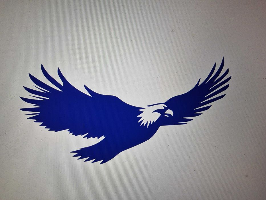 Infiintari / Modificari / Lichidari / CONTABILITATE pentru ORICE FIRMA