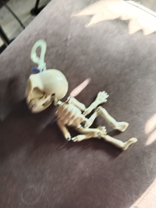 Муха из сериала Бригада.