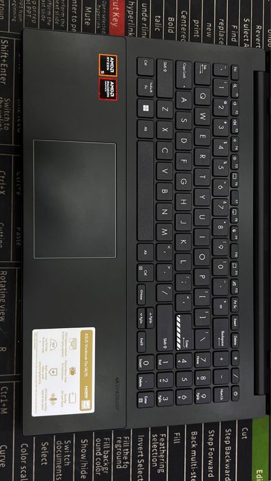 Asus vivobook Go 15
