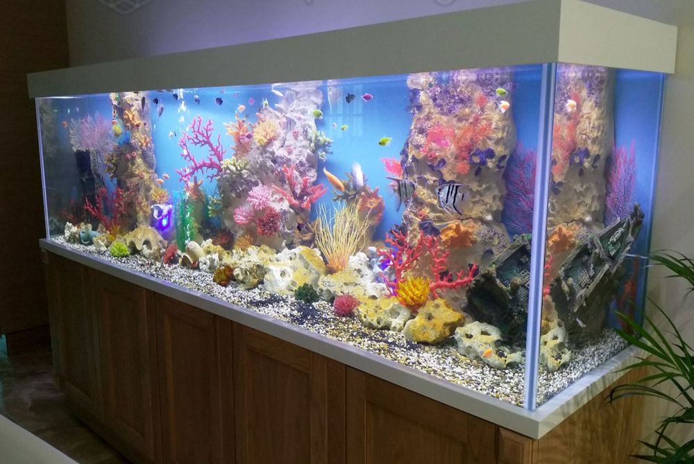 АКВАРИУМЫ на заказ