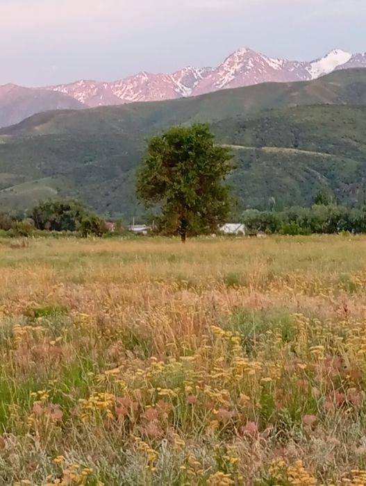 Продается дом-дача