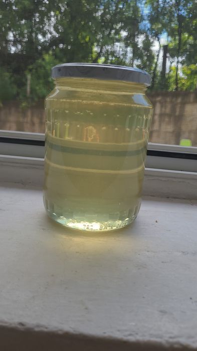 Miere de albine(salcâm,polifliră,rapiță) 100% naturala