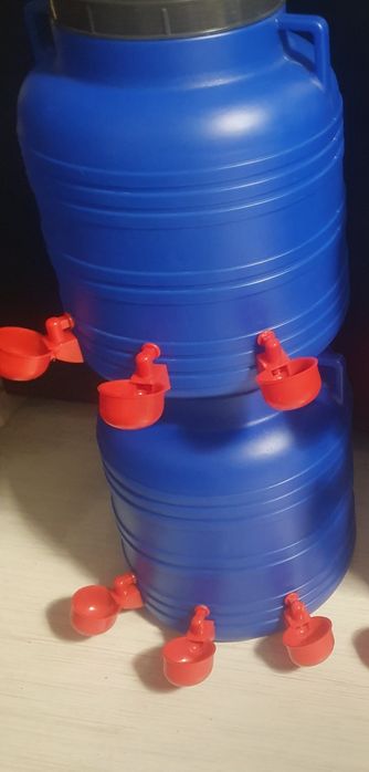 Adapatoare automate pentru pasari pui gaini curci fazani porumbei