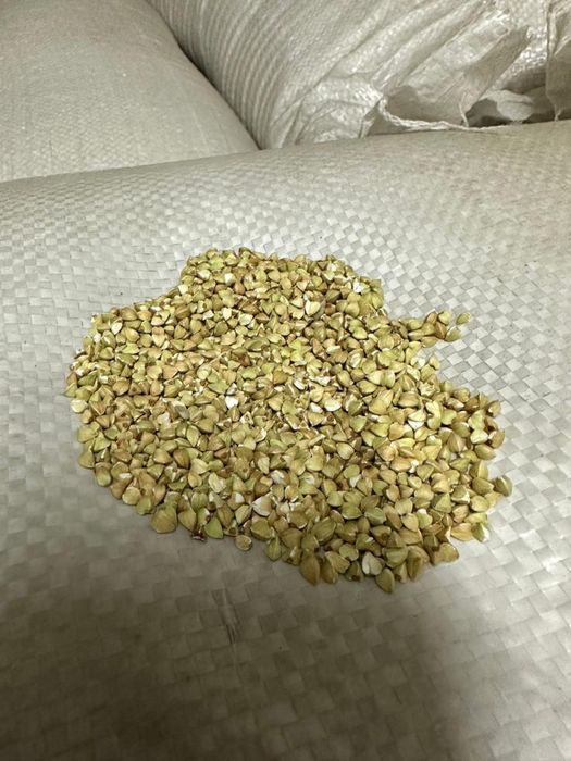 Зеленая гречка оптом 550 тг