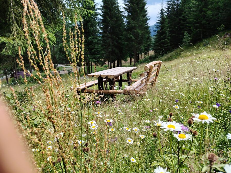 Vând teren în pădure  pt persoanele care doresc să-și construiască cabane din bușteni ,case tip hobbit ,case tradiționale sau să triască off grid..