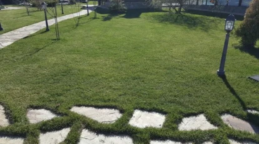 Обслуживание территории вашего сада