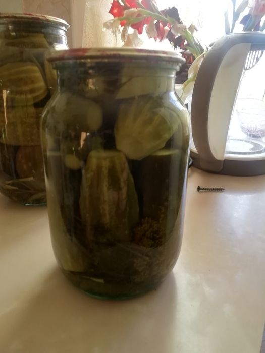 Соленья домашние