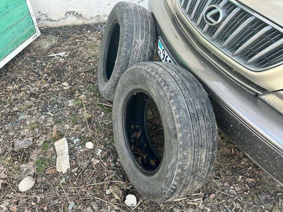 Шины Aoteli Ecosaver