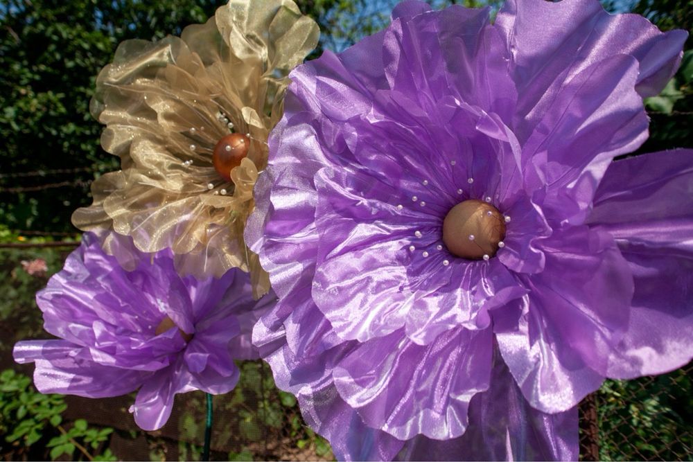 Aranjamente florale/Photocorner/Giant Flowers - Anima Floris
