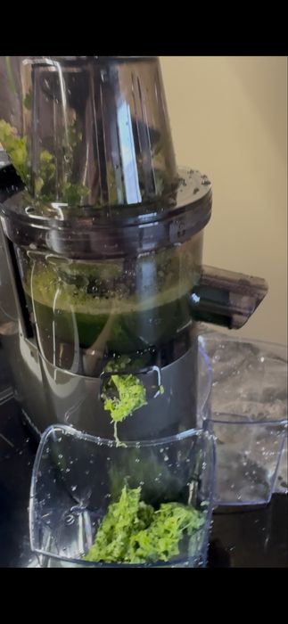 ШНЕКОВАЯ соковыжималка