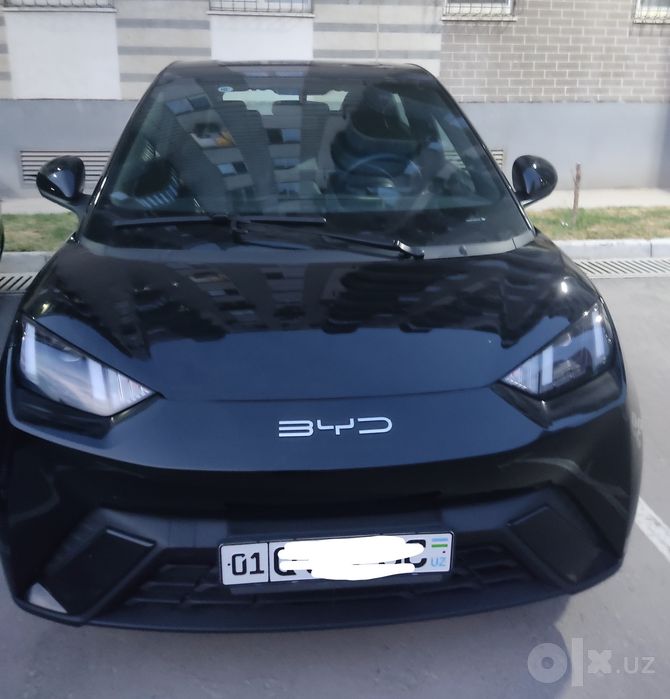 BYD seagull 405 км фулл